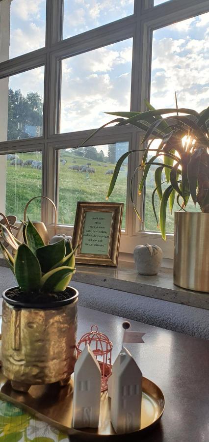 Hotel Zum Poppschen Gut Olbernhau Kültér fotó