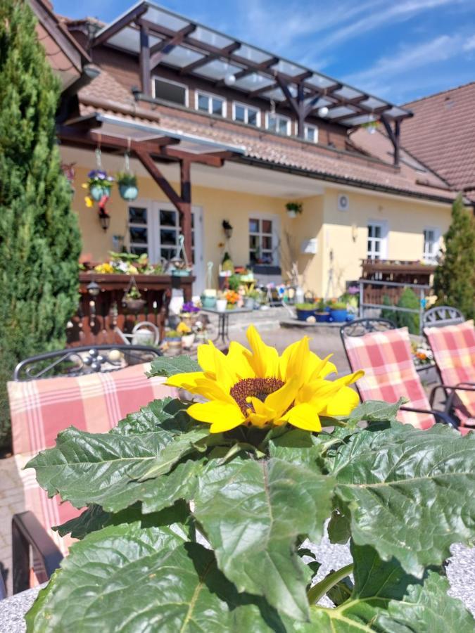 Hotel Zum Poppschen Gut Olbernhau Kültér fotó